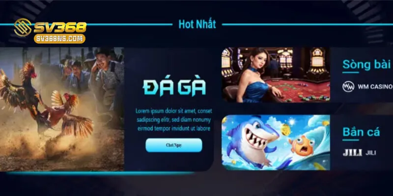 Hướng dẫn truy cập đặt cược trận đấu đá gà tại SV368