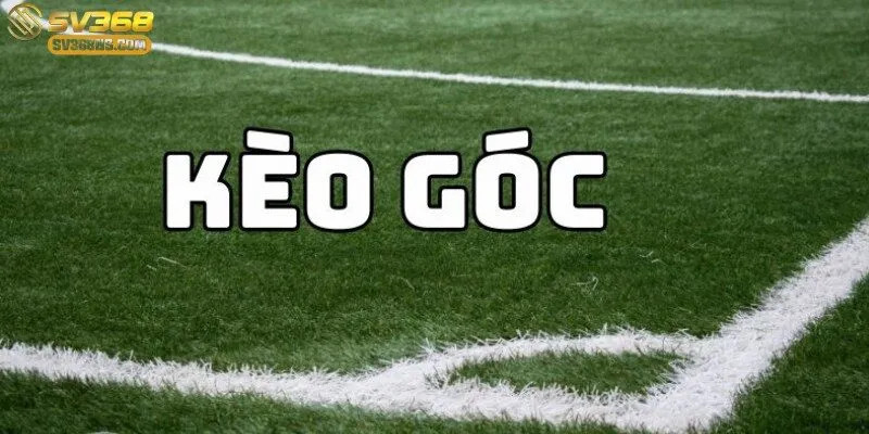 những trãi nghiệm kịch tính hấp dân không thể rời mắt